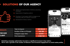 Boosting Harald Seiz's Brand with Elit-Web's SMM Campaigns